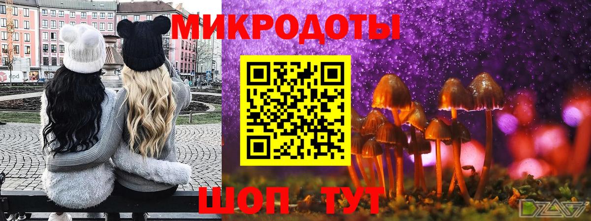 Котлас  Псилоцибиновые грибы мицелий  Вход с VPN 